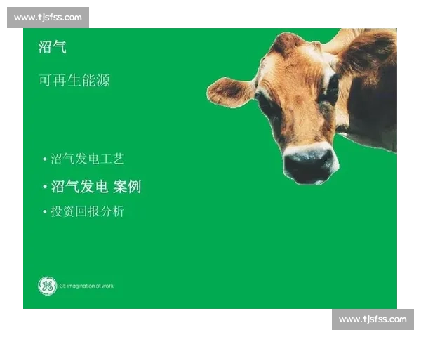 沼气VS传统能源的效率成本与绿色发展综合对比研究前景分析路径